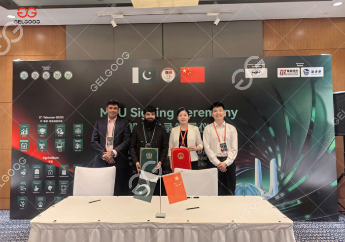 Gelgoog at the 2026 China–Pakistan B2B Investment Summit